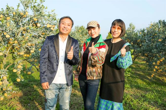 王中平邀陈美凤、亚美将逛茂谷柑果园。（民视提供）
