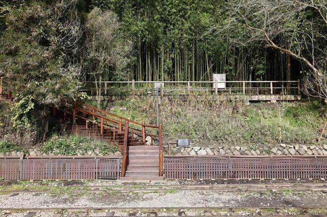 格栅搭配植栽整体呈现空间的活泼性。（林铁及文资处提供／张亦惠嘉县传真）