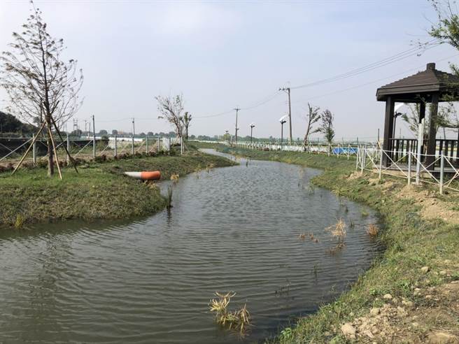 嘉义市「大溪厝水环境教育园区」的人工溼地将是赏鸟好去处。（嘉义市环保局提供）