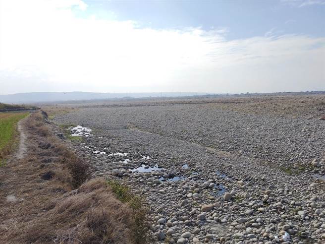大甲溪大安區段溪流沖刷北岸導致高灘地割蝕，恐衝擊堤防。（陳淑娥攝）