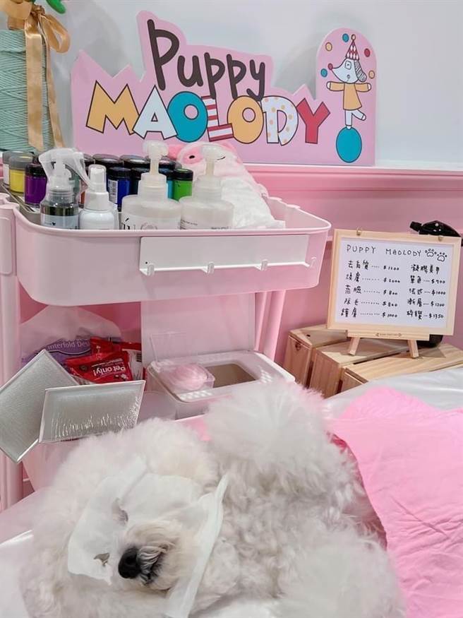 毛乐地Puppy Maolody宠物学校也为毛孩提供敷脸、护肤等服务。（毛乐地Puppy Maolody提供）
