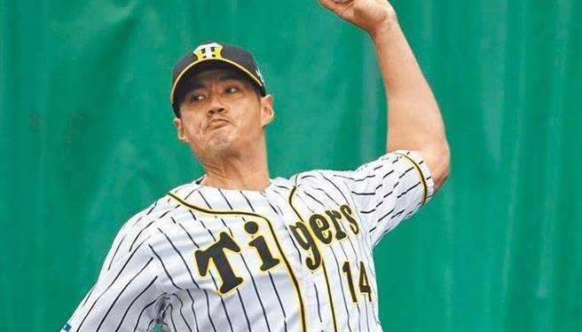 陈伟殷(阪神虎提供)