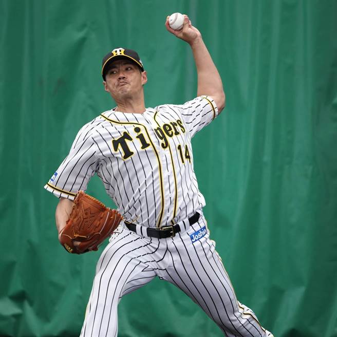 陈伟殷。（资料照，阪神虎提供）