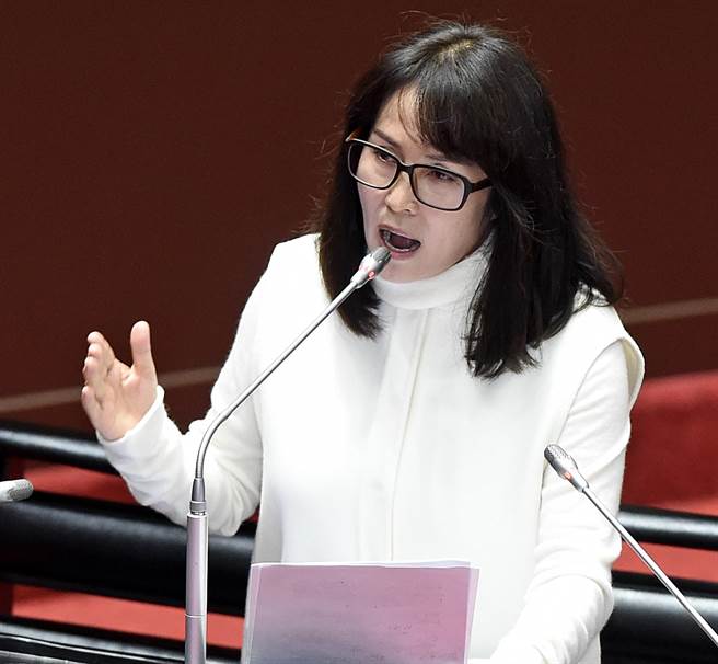 无党籍立委高金素梅。（张铠乙摄）