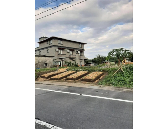 网友PO出在路边拍到的奇特照片指出「特大米血糕，花生粉特多」。(图/截自Dcard)