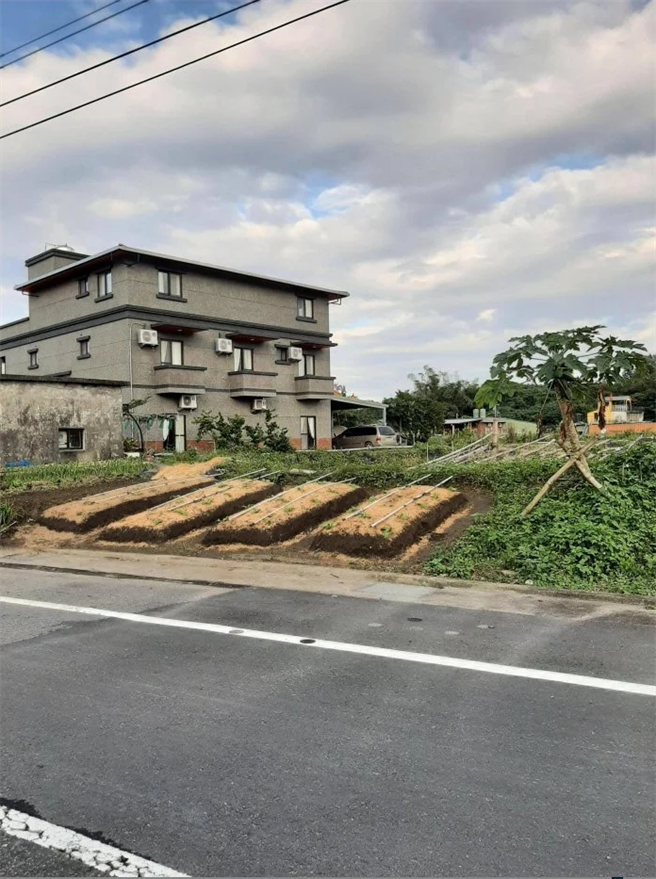 网友表示在宜兰路边发现超像米血糕的农地，看起来很好吃。(图/截自Dcard)