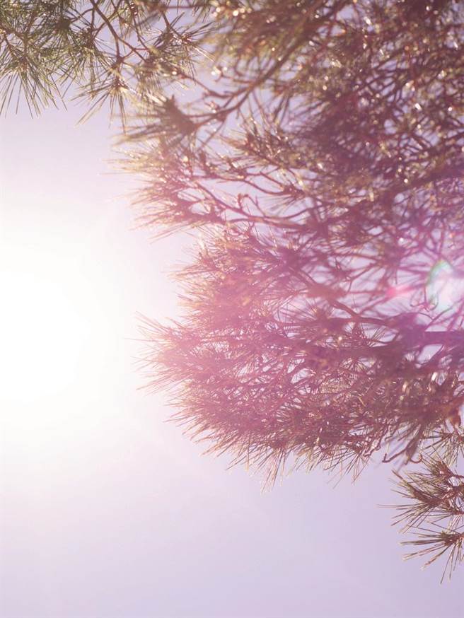 香奈儿LA PAUSA法式别墅春妆创作灵感图。（香奈儿提供）