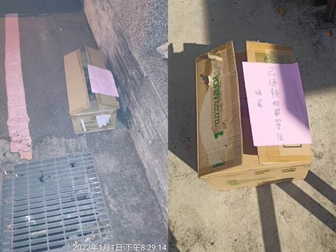 网友用布袋将尸体裹好后放入纸箱内，准备隔天通报政府处理，没想到隔天他到现场时，却发现纸箱已不翼而飞，而猫尸体被丢弃路边，纸箱疑似遭拾荒者捡走。（翻摄自爆料公社）