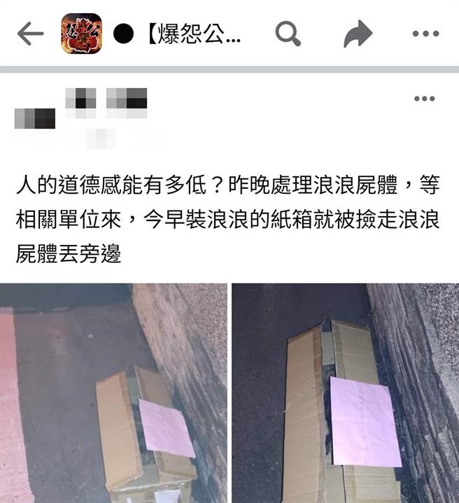 网友用布袋将尸体裹好后放入纸箱内，准备隔天通报政府处理，没想到隔天他到现场时，却发现纸箱已不翼而飞，而猫尸体被丢弃路边，纸箱疑似遭拾荒者捡走。（翻摄自爆料公社）