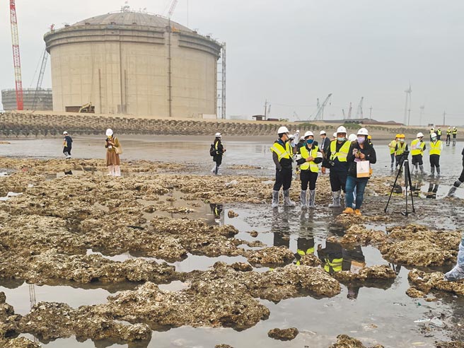 第三接收站开发面积大小，攸关藻礁生存，长期来是环保团体极为忧心的问题。（本报资料照片）