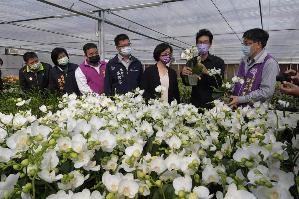 張善筆（右二）七年前創業打造克羅莉斯溫室蘭園，生產的蘭花連續三年創下台北花市的銷售冠軍，供不應求、十分熱賣。（謝瓊雲攝）