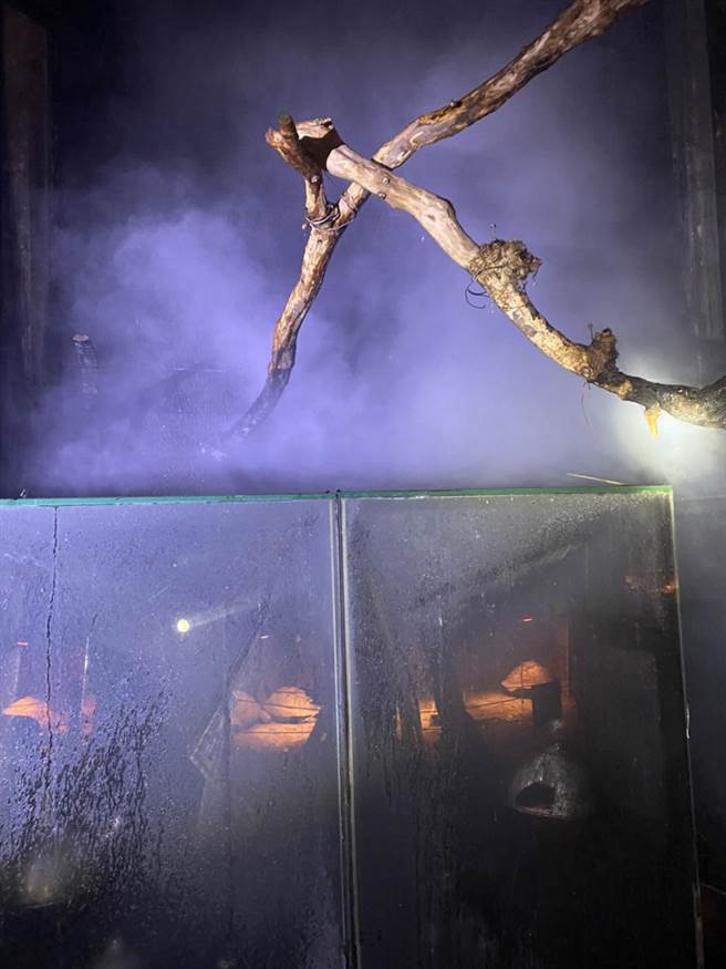 绿世界生态农场临时屋火警，3只蜥蜴命丧火窟。（新竹县消防局提供／罗浚滨新竹传真）