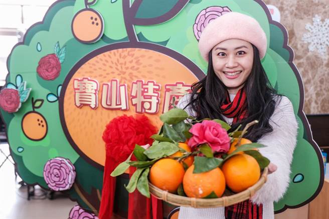 宝山乡茶花暨柑橘产业文化展售活动，8日将「深井茶花园区」登场。（罗浚滨摄）