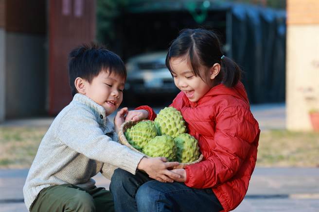 好吃的台东释迦又来了！金门县农会超市即日起接受订购。（金门县农会提供）