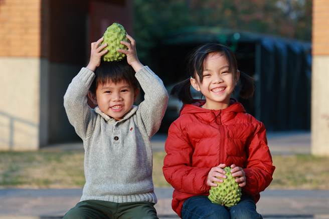 释迦含有丰富维生素C、钾、钙、镁和磷等营养成分。（金门县农会提供）