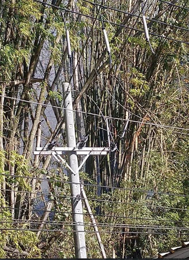 埔里镇蜈蚣崙森林火灾，罪魁祸首竟是台湾猕猴。（吴淇淞提供／廖志晃南投传真）