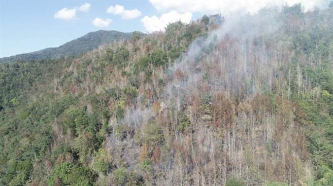 埔里镇蜈蚣崙山区，3日发生森林火灾。（南投林区管理处提供／廖志晃南投传真）