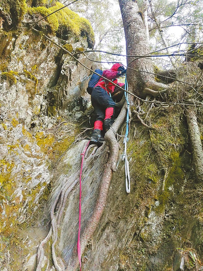 台中市警消與救難人員，半個月來共投入150人次合力完成搜救，桃園市政府體育局李姓股長遺體2日吊掛成功，魂斷中央尖山半個多月，終於回家了。（台中市消防局提供／陳淑娥台中傳真）
