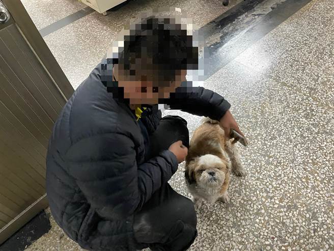 警方替迷途西施犬拍照後PO網，熱心網友轉貼，20分鐘後迅速「破案」，讓西施犬和主人歡喜團圓。（翻攝照片／石秀華高雄傳真）