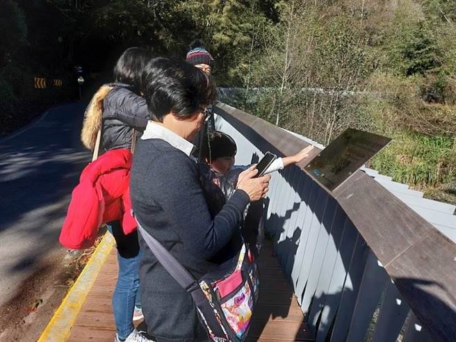 遊客於七家灣溪觀魚平台掃QR Code，即可一窺國寶魚水下優游的身影。（雪霸處提供／王文吉台中傳真）