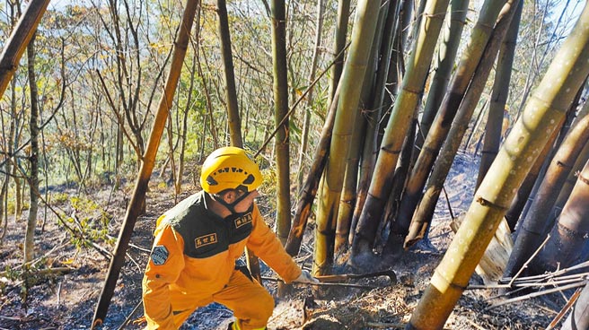 南投埔里镇蜈蚣崙3日中午发生森林火灾（见图），罪魁祸首竟是台湾猕猴。牠误触高压电缆，产生火花致山林失火，自己也被电晕，过了一会才醒过来，之后逃离现场，却忙翻了林管处与消防人员。（南投林区管理处提供／廖志晃南投传真）