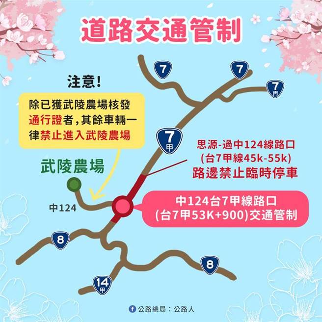 武陵農場櫻花季交通管制。圖／公路總局提供