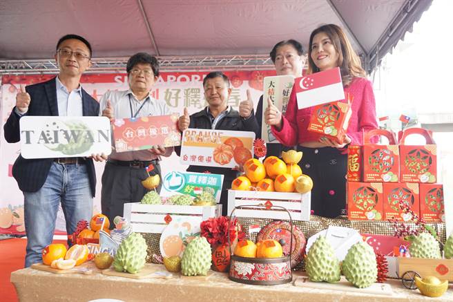农委会推动台中椪柑及台东凤梨释迦外销，各出口新加坡14公吨及2公吨。（王文吉摄）