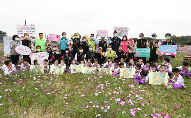 彰化市金马路与彰草路交叉路口，波斯菊、向日葵绽放蔚为一片灿烂花海。（彰化市公所提供／吴敏菁彰化传真）