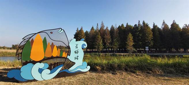 台南市六甲区落羽松景点入口新增一公共艺术「鲷‧羽」，代表六甲特色台湾鲷与落羽松。（六甲区公所提供／刘秀芬台南传真）