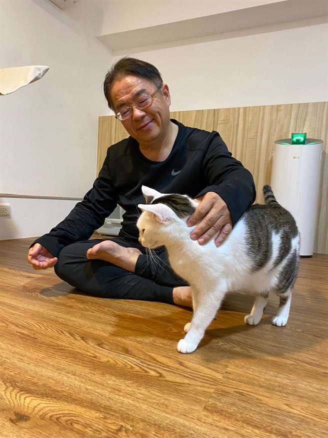 曾进益家中收养7只流浪猫，每只猫背后都有暖心故事。（曾进益提供）