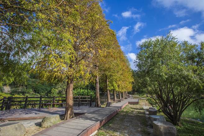 水保局台北分局施设北埔六塘落雨松木栈道，让游客休憩更安全。（罗浚滨摄）