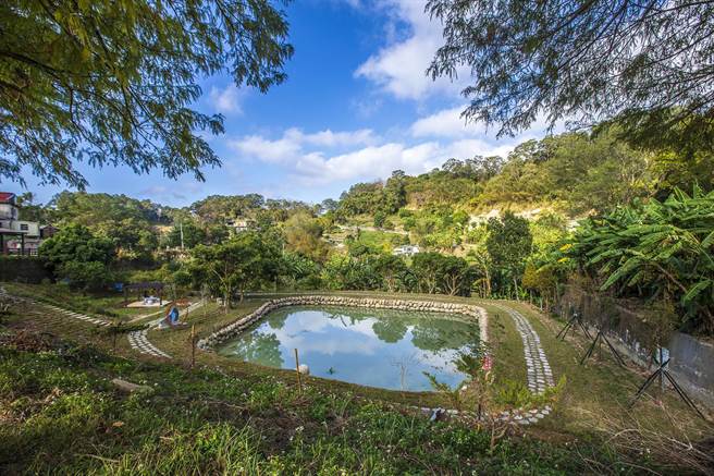 水保局台北分局改善北埔六塘落雨松下方水塘，整个环境焕然一新。（罗浚滨摄）