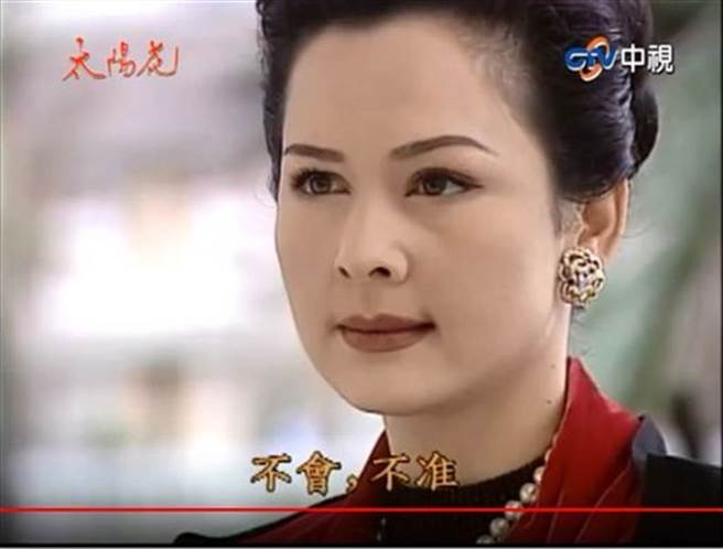 席曼寧演技精湛，在《太阳花》演活坏女人的角色，令观眾气得牙痒痒。（图／影片截图）