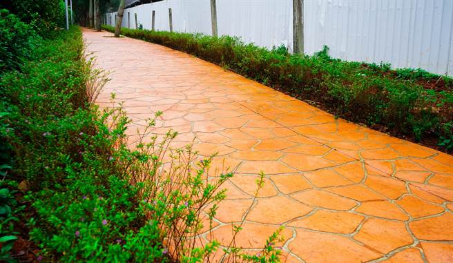 林口第二运动公园再添绿化步道　步道植上4500株花树（林口区公所提供／戴上容新北传真）