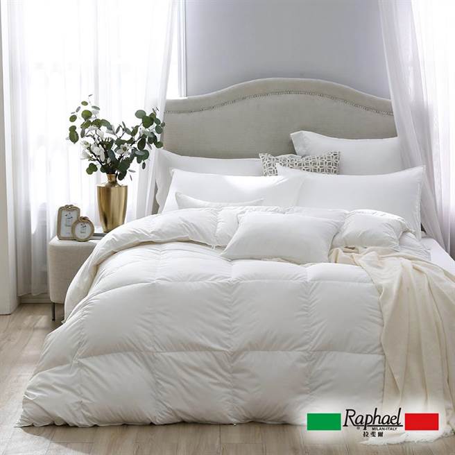 SOGO忠孝馆Raphael拉斐尔JIS90 10匈牙利防蹒抗菌可水洗羽绒冬被，原价2万2600元、特价1万800元。（SOGO提供）