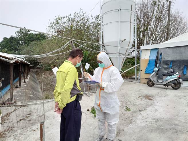 近期台南市南区喜树及安南区四草溼地分别出现鸭科排遗与死亡的黑面琵鹭检出H5N1亚型高病原性禽流感病毒，动物防疫人员至养禽场进行访视。（台南市政府农业局提供／张毓翎台南传真）
