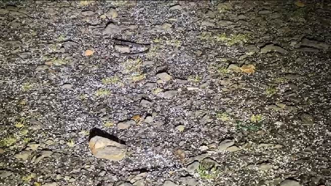 玉山今晚8點半下冰霰 「天降糖霜」美景曝光（氣象局）