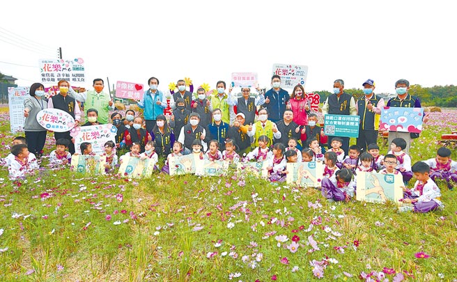 彰化市金马路与彰草路交叉路口，波斯菊、向日葵绽放蔚为一片花海。（彰化市公所提供／吴敏菁彰化传真）