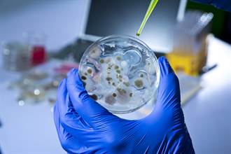 恐怖生化武器「炭疽桿菌」 研究：可能帶來止痛新解方