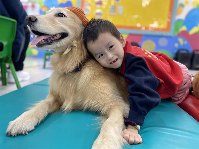 桃园宝贝潜能发展中心服务身心障碍幼童已迄16年，服务犬蕗米与咪酱长期至机构服务，帮助慢飞宝贝抒发情绪压力。（宝贝潜能发展中心提供）