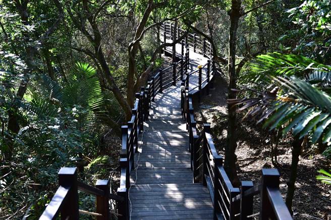 大坑9-1号步道施工完成。（台中市观旅局提供／王文吉台中传真）