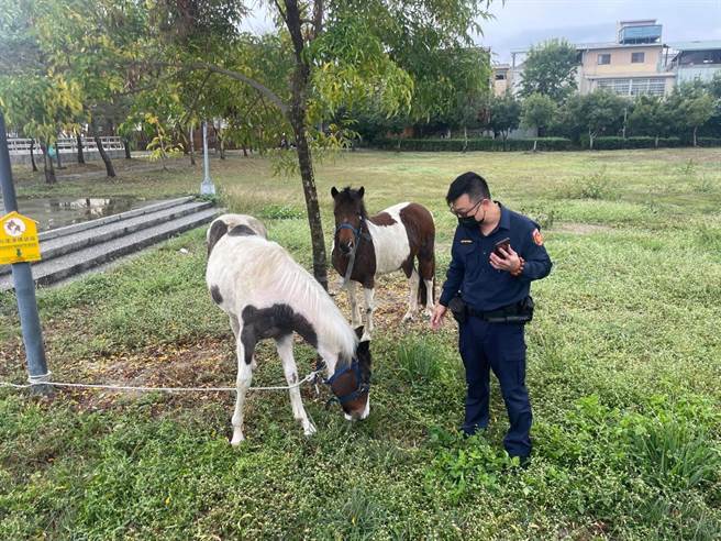 警方出动协寻，最后在大里区美村路瑞城公园发现马儿在吃草。（民眾提供／冯惠宜台中传真）