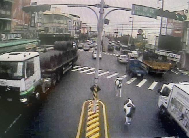 台中市大里区中正路今（7）日上午9点多突然出现两匹骏马在车水马龙的车道上奔驰，引发用路人骚动。（民眾提供／冯惠宜台中传真）