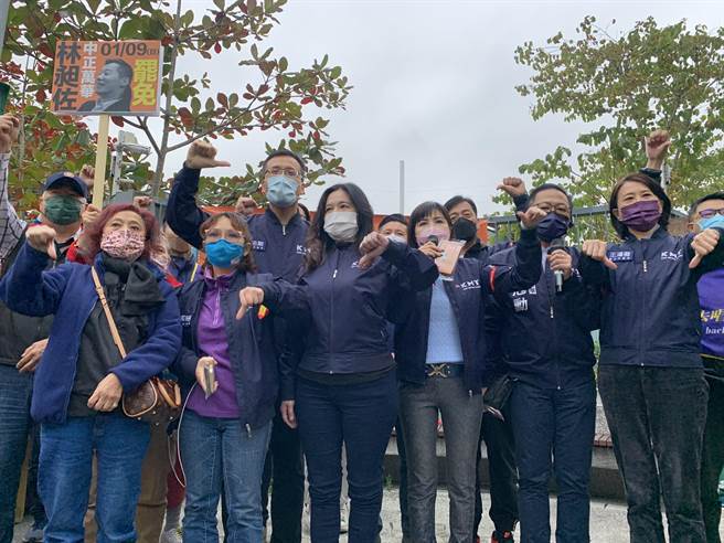 国民党与罢昶公民团体一改化整为零策略，今首度合体造势，地点选在人潮匯聚的双和市场，议会党团由书记长王欣仪领军。（黄婉婷摄）