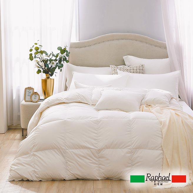 SOGO忠孝館Raphael拉斐爾JIS 90/10匈牙利防蟎抗菌可水洗羽絨冬被，原價2萬2600元、特價1萬800元。（SOGO提供）