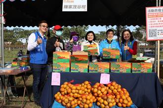斗六茂谷柑節促銷「1305茂谷柑」 助民眾健康過好年