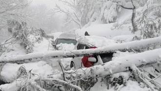 瘋追雪釀慘劇  這國上千輛車受困暴雪21死 多人被埋喪命