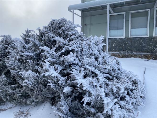 玉山气象站降雪。（玉山气象站／谢新添提供）