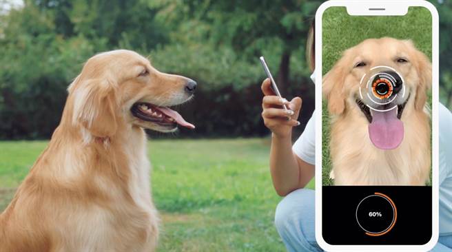 Petnow The Nose Print Identification App for Dogs &#8211; Petnow Inc.（翻摄Petnow Inc. YouTube频道）