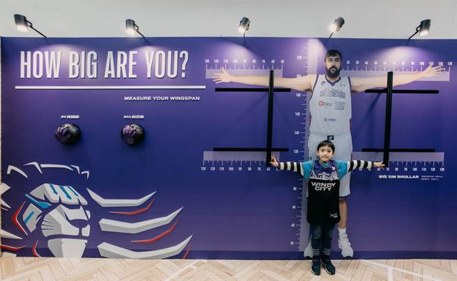 LIONATION博物馆内展示辛巴惊人的身高与臂展。(新竹攻城狮提供)